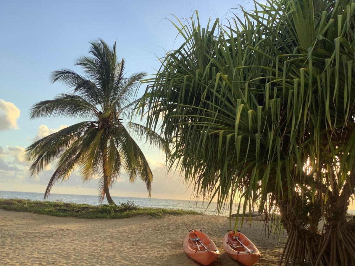 Emayani Beach Lodge Pangani Luaran gambar